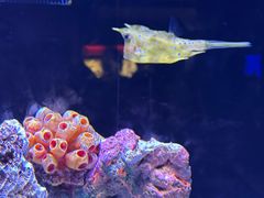-上海海洋水族馆