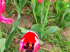 -长春公园(普阳街道)