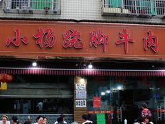 -小杨翘脚牛肉