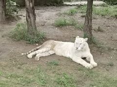 -上海野生动物园
