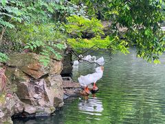 -兰亭风景区
