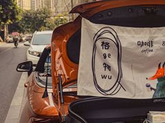 -神仙树公园