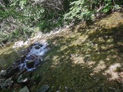 -牛背梁国家森林公园