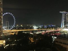 -新加坡文华东方酒店