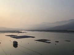 -北岐滩涂