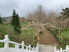 -田野绿世界