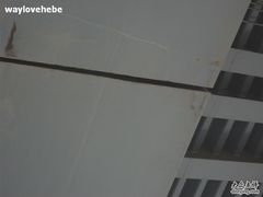 -海河外滩公园