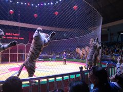 -西安秦岭野生动物园