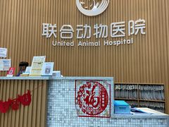 -联合动物医院(光谷诊疗中心)