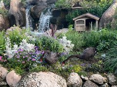 -罗红摄影艺术馆