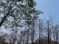 -晓港公园