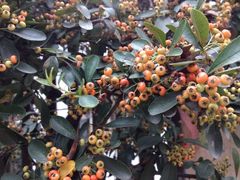 iphone_upload_pic-三山岛