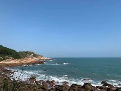 -广东惠东海龟国家级自然保护区