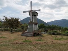 -亚龙湾国际玫瑰谷