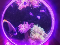 -太平洋海底世界