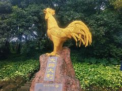 -海口火山口国家地质公园