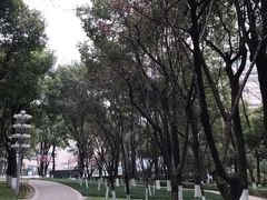 -重庆市江北嘴中央商务区中央公园