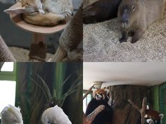 -海合安武汉极地海洋公园