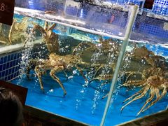水产区-徐记海鲜(大明宫|北二环店)