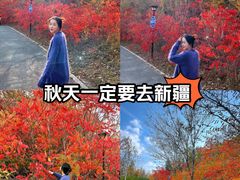 -小绿谷公园