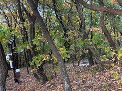 -帽儿山国家森林公园