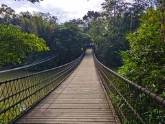 -南宁良凤江国家森林公园