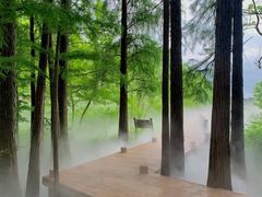 -东湖落雁景区
