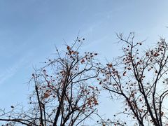 -齐白石旧居纪念馆