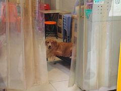 景观位-大档(荔湾店)