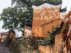 -杨家堂村