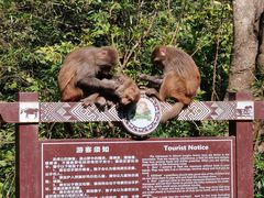 -广西龙虎山风景区