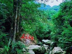 -鸡冠洞风景区