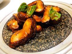 -西郊5号·Maggie 5