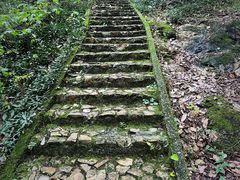 -上海佘山国家森林公园天马山园