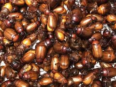 -映像威海·海鲜味道(经区店)