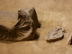 -洛阳周王城天子驾六博物馆