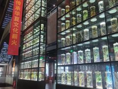 -广东中医药博物馆