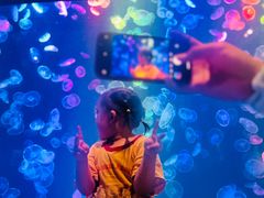 -烟台海昌鲸鲨海洋公园