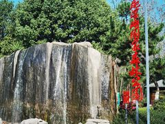 -合肥滨湖国家森林公园