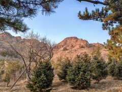 -红山国家森林公园