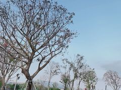 -深圳湾公园(南山区)