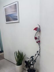 -VIM Hair Salon