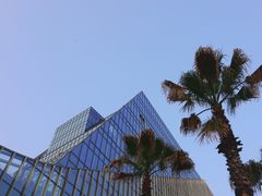 -金沙湖公园
