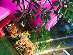 -莓园冰淇淋店