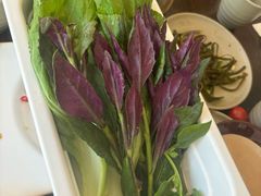 -滇釜火锅·能喝汤的火锅(车公庄店)