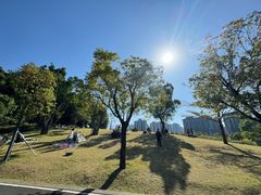 -牛岗山公园