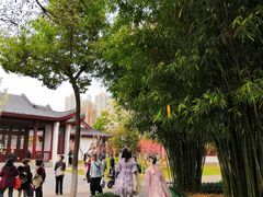 -堤角公园
