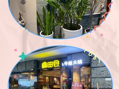 -麻田会 ·鲜活现烹·牛蛙火锅(珠江新城维家思广场店)