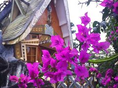-疯狂屋