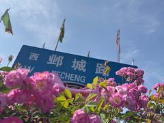 -南京国际青年文化中心